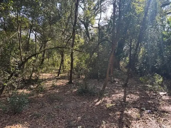 0 County Rd 54, ,, FL 33849