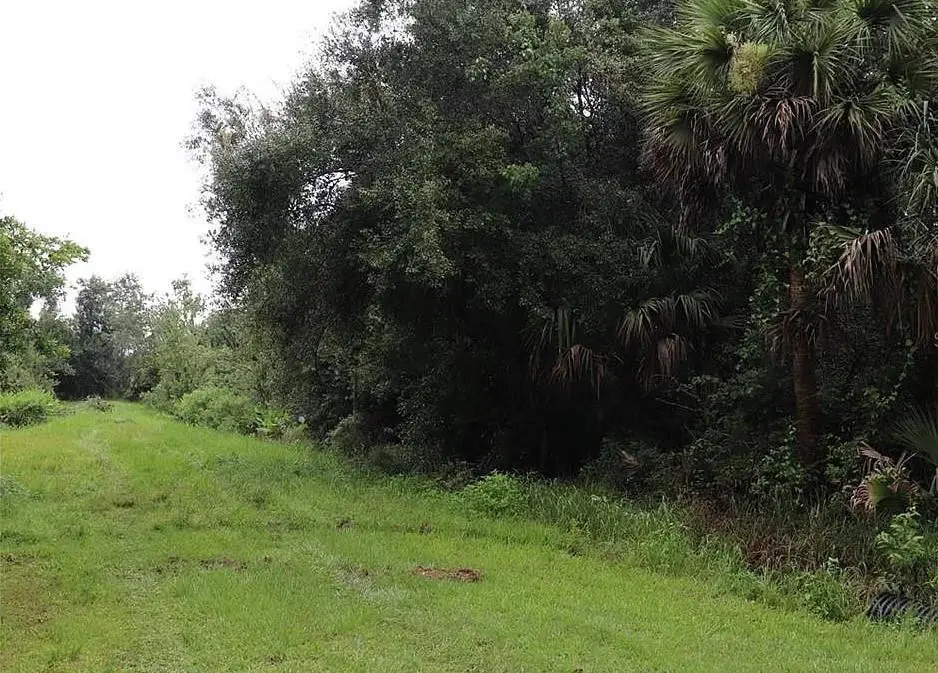 21331 NW 250th Street, Okeechobee, FL 34972 - #1