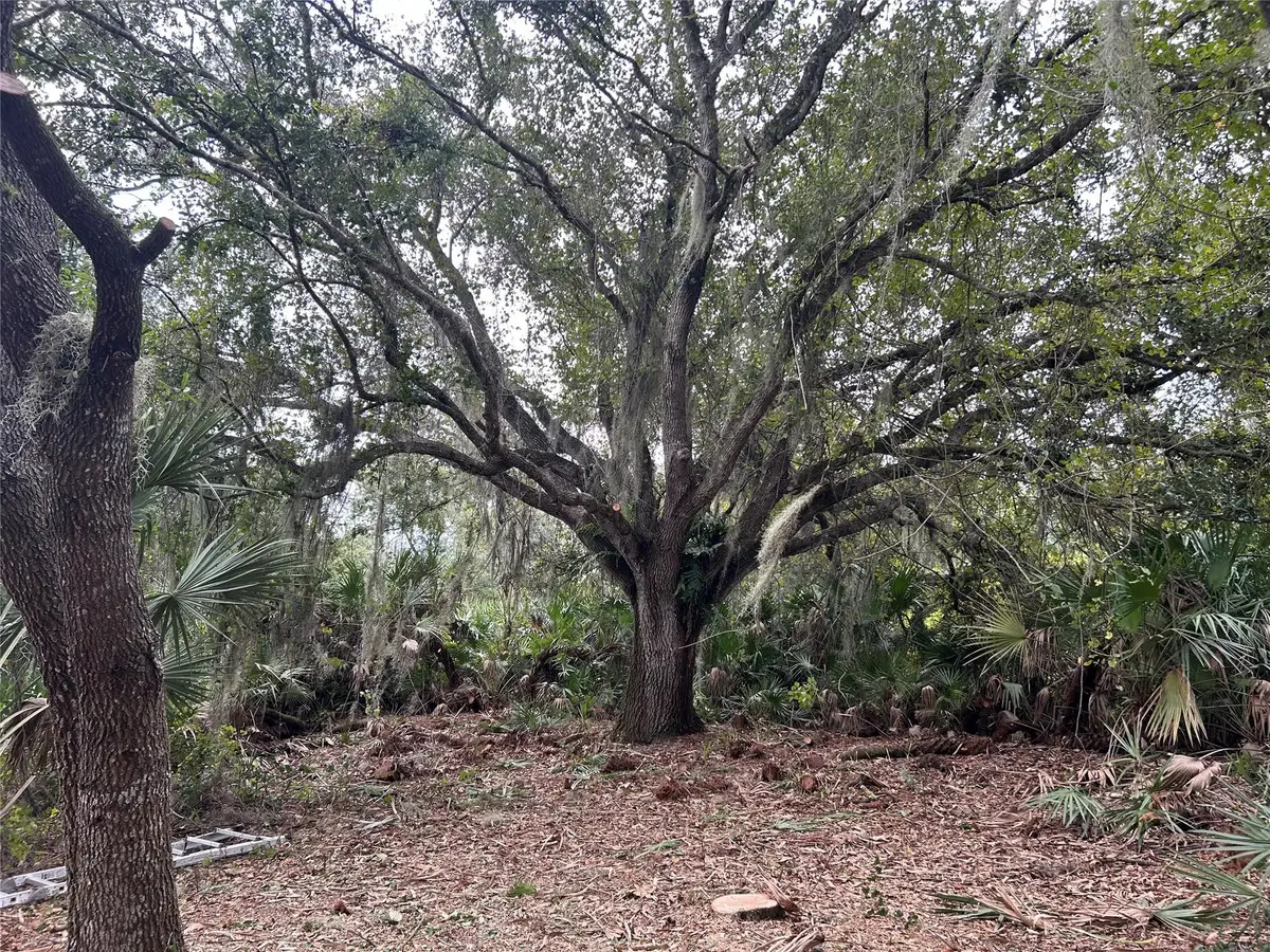 0 298th Street, Okeechobee, FL 34972 - #1