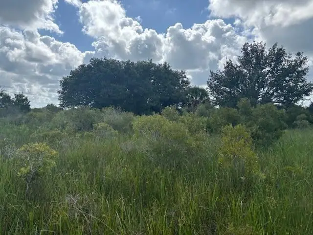 0 NW 316th Street, Okeechobee, FL 34972 - #2