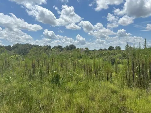 0 NW 314th Street, Okeechobee, FL 34972 - #1