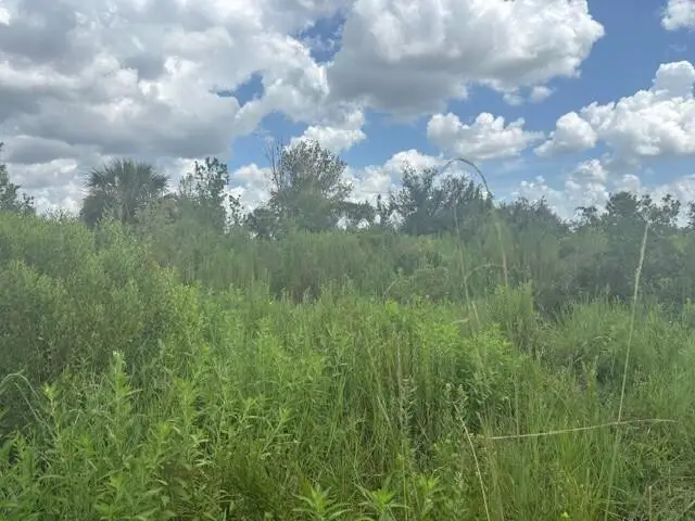 0 312th Street, Okeechobee, FL 34972 - #1