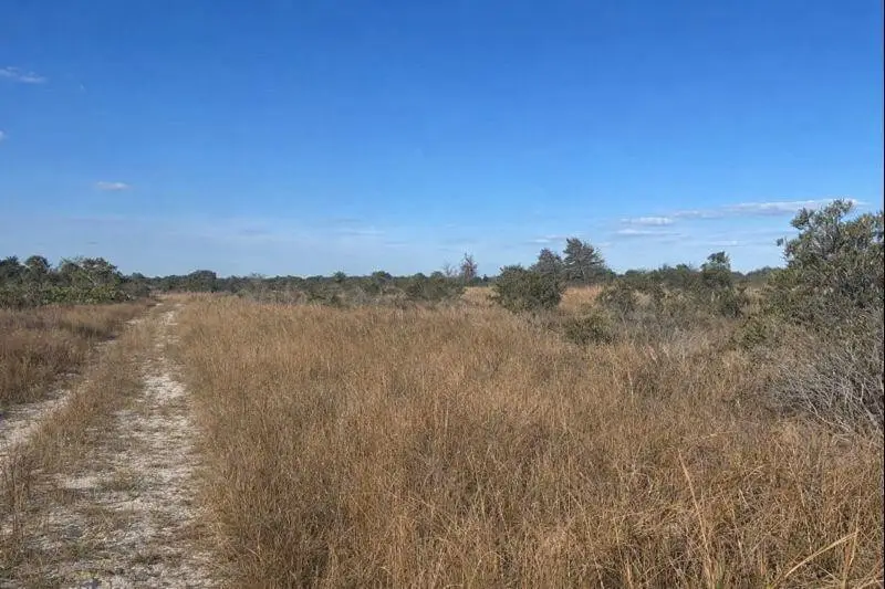 0 NW 290th Street, Okeechobee, FL 34972 - #1