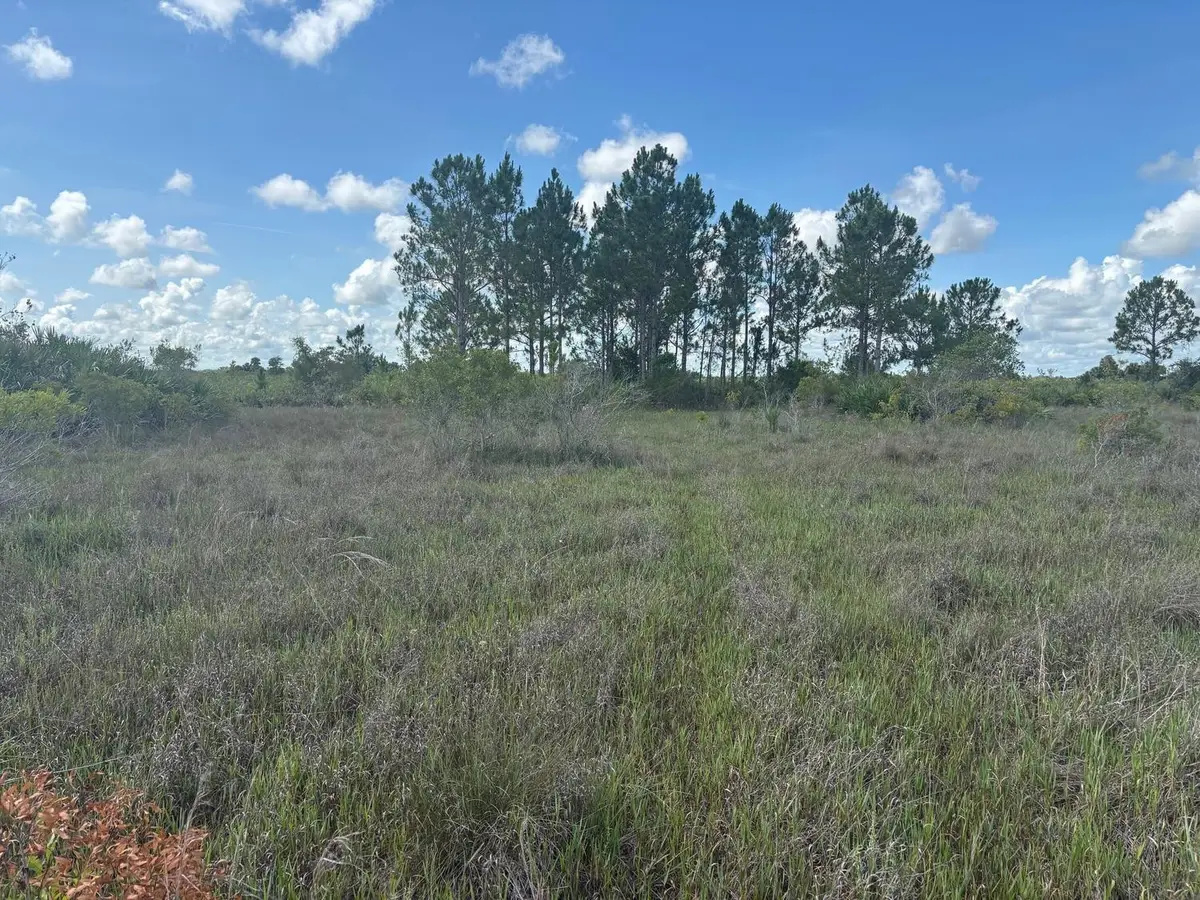 0 290th Street, Okeechobee, FL 34972 - #1