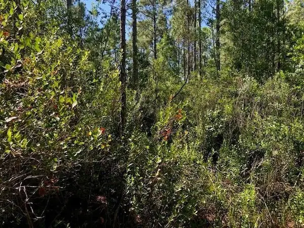 0 Old Grade Road, ,, FL 33868