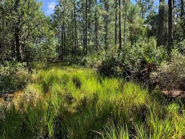 0 Old Grade Road, Polk City, FL 33868 - #3