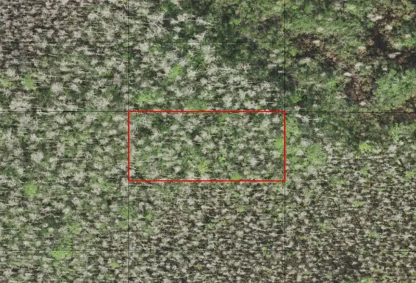 0 Holopaw Groves Road, ,, FL 34772