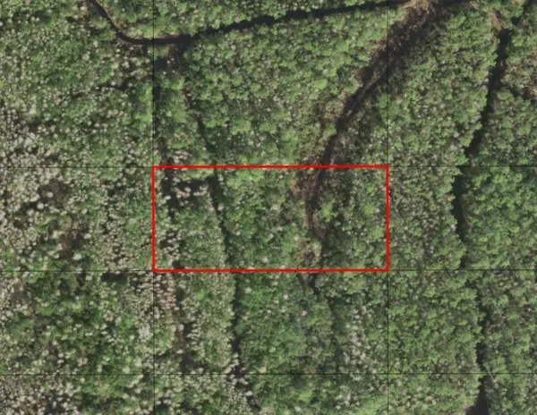 0 Holopaw Groves Road, ,, FL 34772