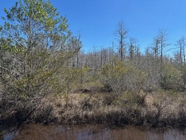 0 Holopaw Groves Road, ,, FL 34772