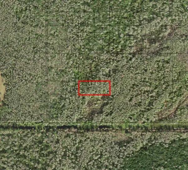 0 Holopaw Groves Road, ,, FL 34772