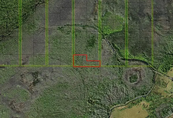 0 Holopaw Groves Road, ,, FL 34772