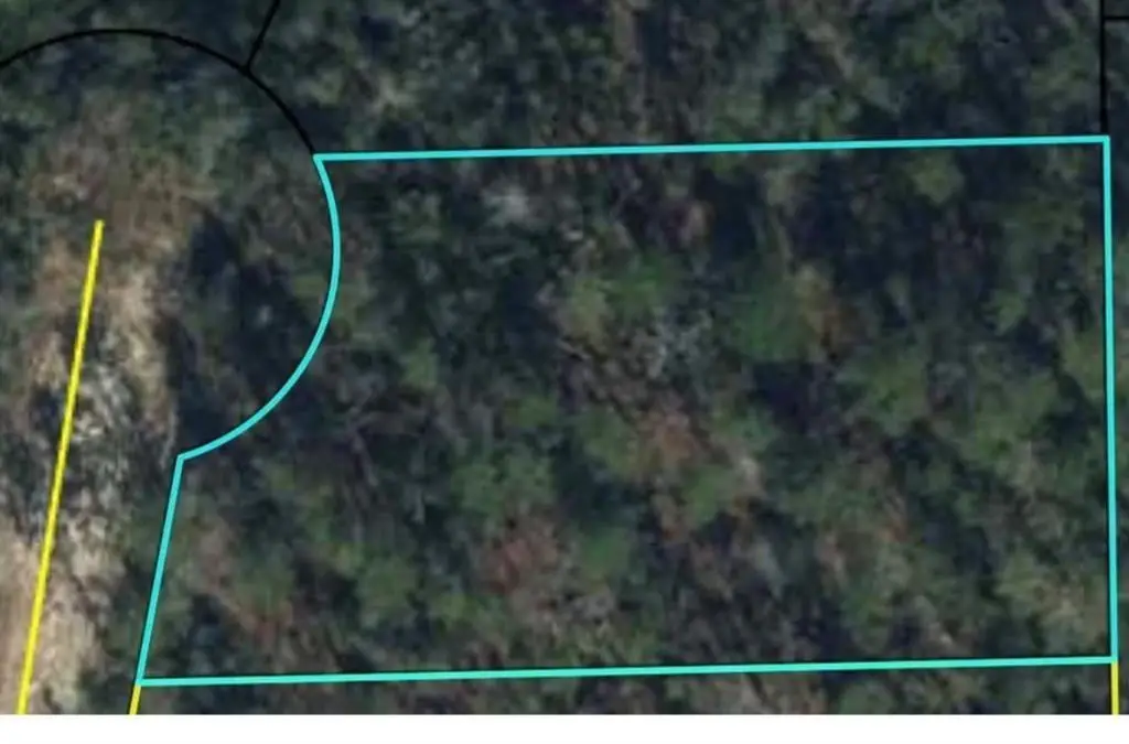 0 Rue, Marianna, FL 32448 - #1