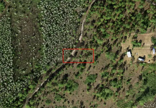 0 Holopaw Groves Road, ,, FL 34772