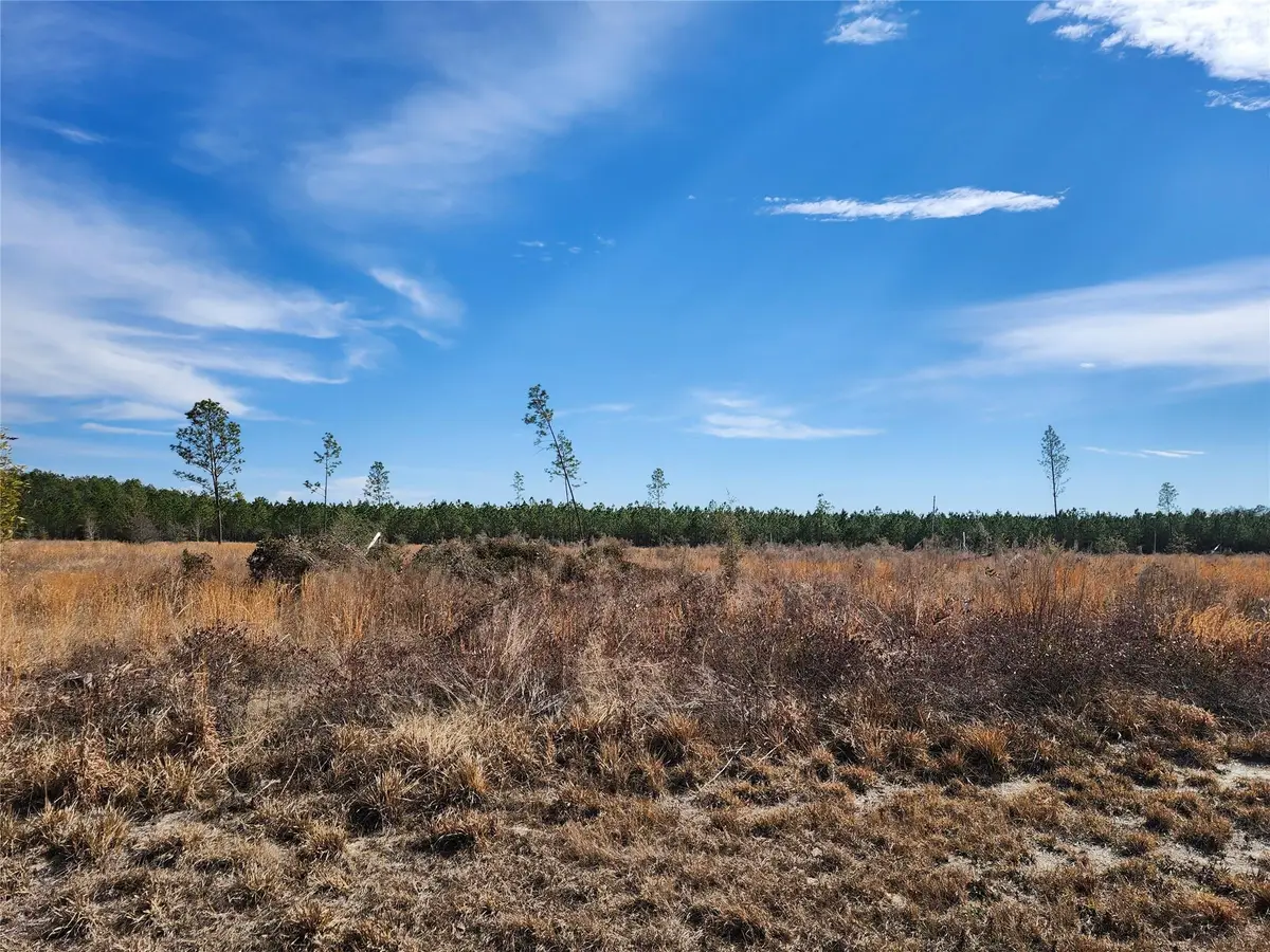 Lot 50 Fl-50, Live Oak, FL 32060 - #1