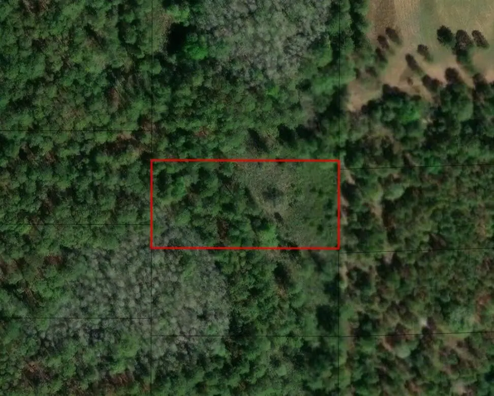 0 Poyner Road, Polk City, FL 33868 - #1