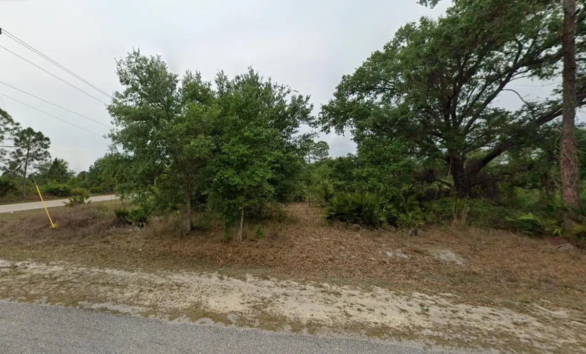 1007 E 10th Street, Lehigh Acres, FL 33972 - #1