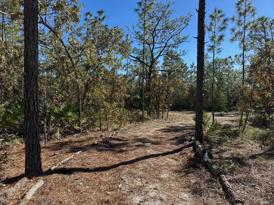 4944 W Mustang Boulevard, Pine Ridge, FL 34465 - #3