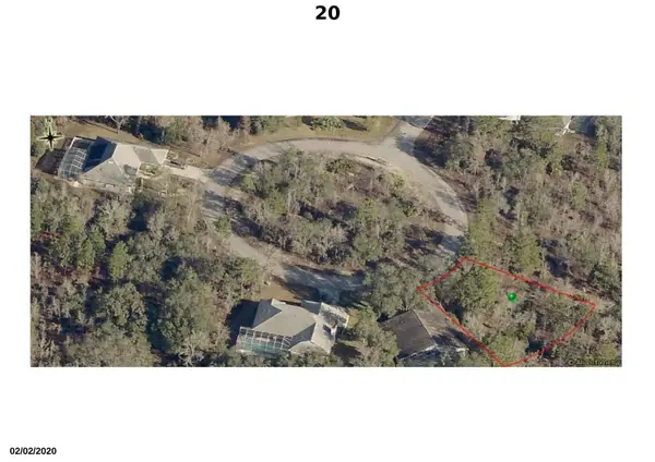 20 Dahlia Court S, ,, FL 34446