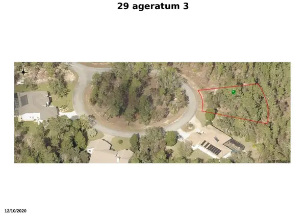 29 Ageratum Court, ,, FL 34446