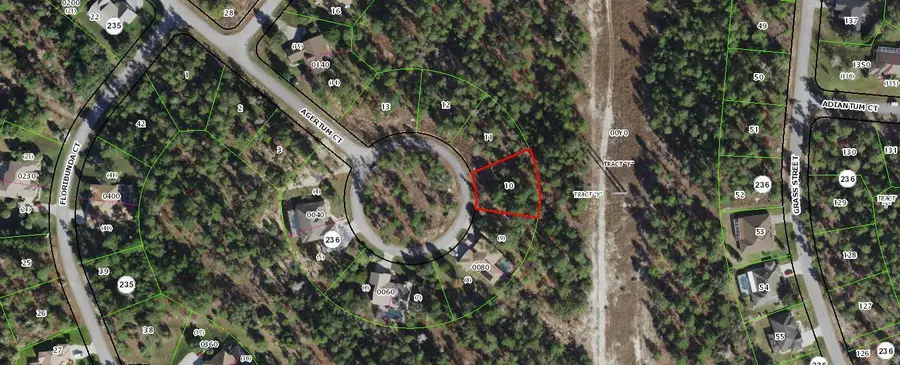 29 Ageratum Court, Sugarmill Woods, FL 34446 - #3