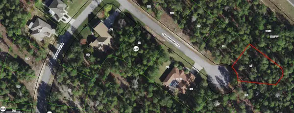 11 Crossandra Court E, ,, FL 34446