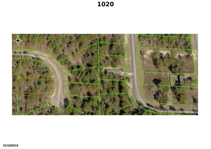 1020 W Riley Drive, Citrus Springs, FL 34434 - #2