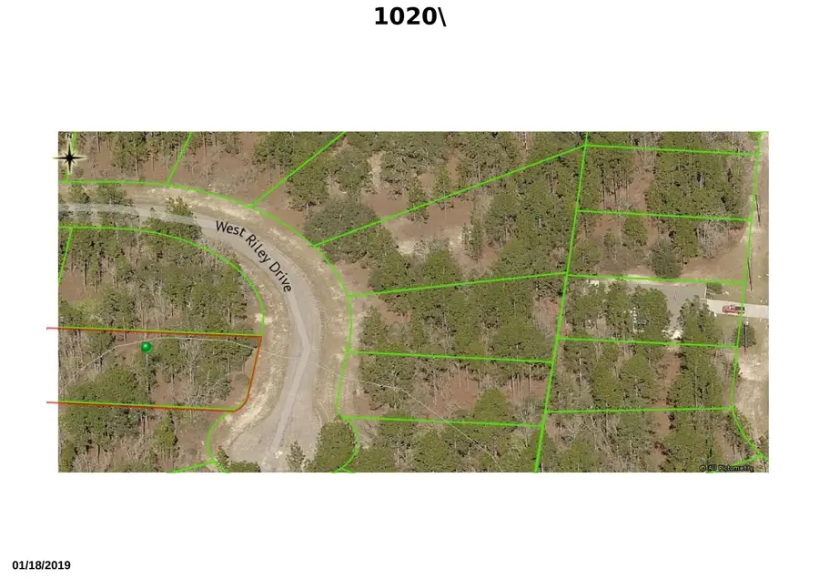 1020 W Riley Drive, Citrus Springs, FL 34434 - #3