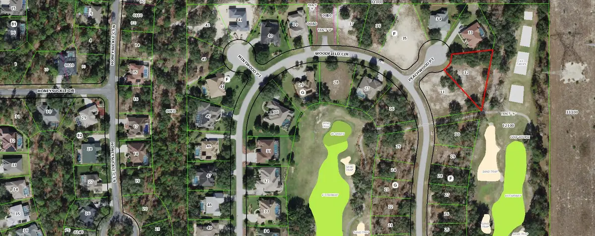 3 Peachwood Point, Sugarmill Woods, FL 34446 - #1