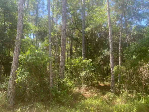 Tbd NE 155 Lane, ,, FL 32134