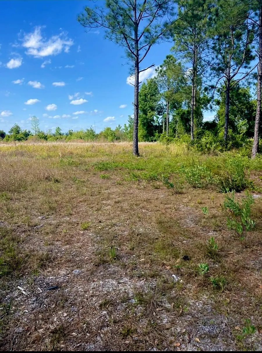 1108306 Oil Well Road, Clermont, FL 34714 - #2