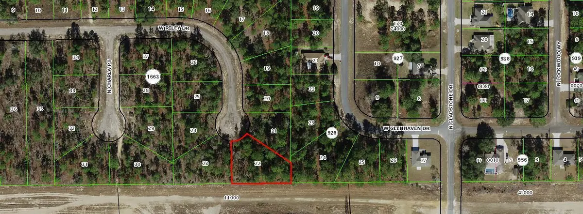 1005 W Riley Drive, Citrus Springs, FL 34434 - #1