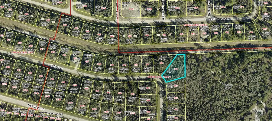651 Lydia Street, Lehigh Acres, FL 33974 - #2
