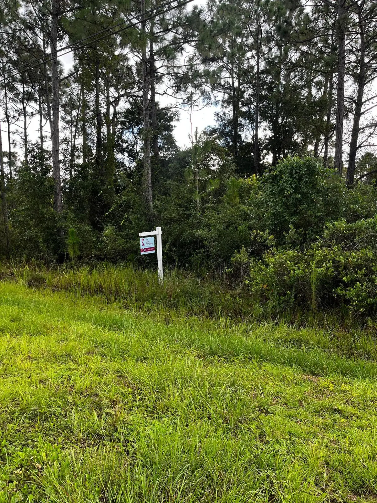 0 Sabal Street, Orlando, FL 32833 - #1