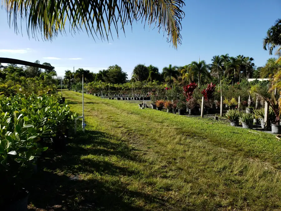 14375 Okeechobee Boulevard, Loxahatchee Groves, FL 33470 - #3