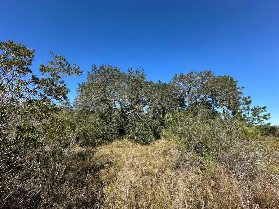 15415 NW 292nd Street, Okeechobee, FL 34972 - #2