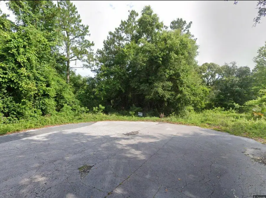 102 SW Green Acres Way, Lake City, FL 32024 - #3