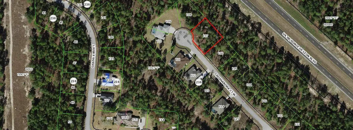 11 Crossandra Court W, Sugarmill Woods, FL 34446 - #1