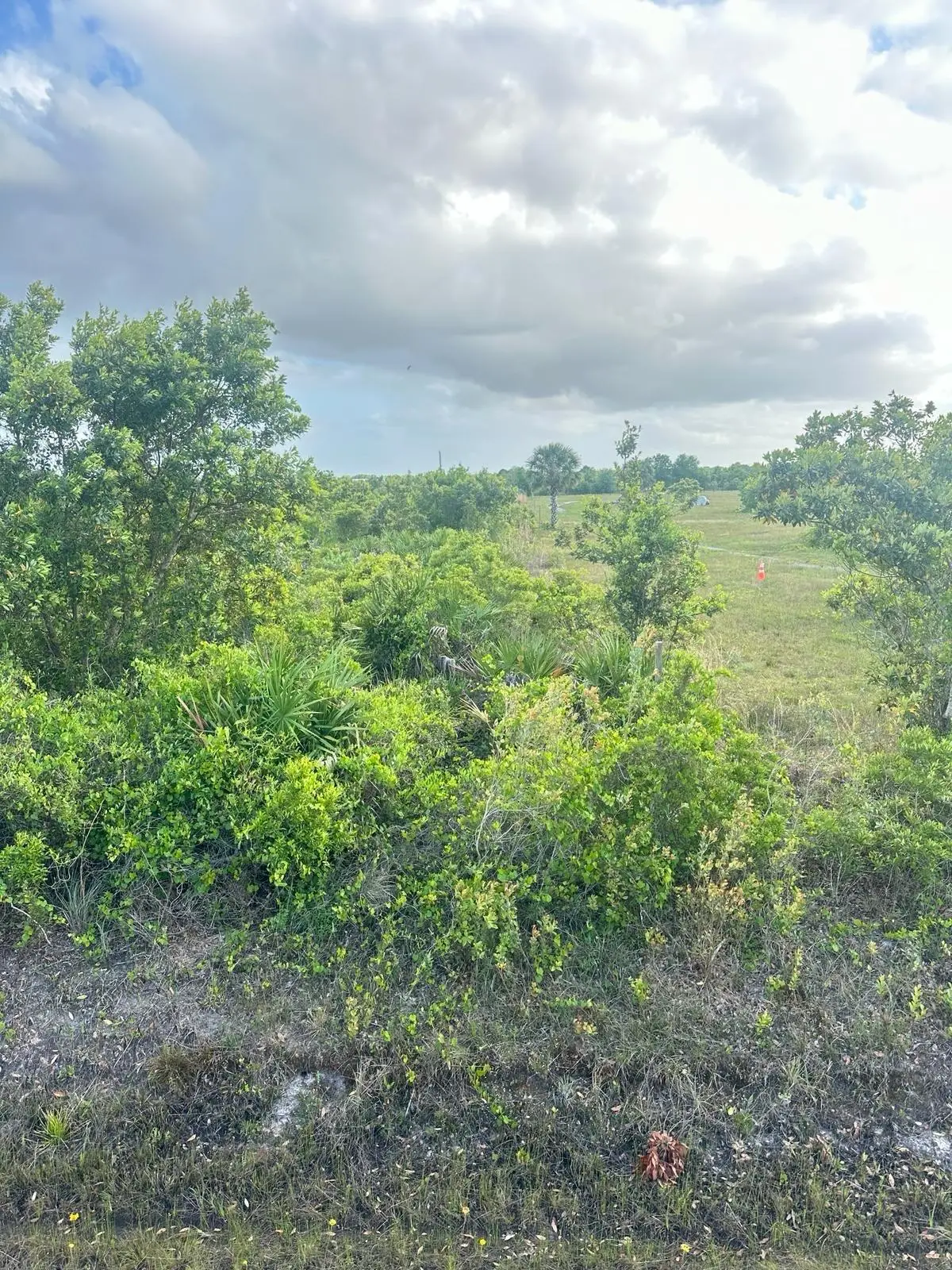 16220 NW 264th Street, Okeechobee, FL 34972 - #1