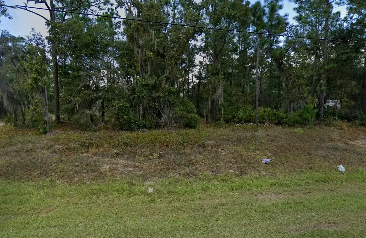 7211 Cardinal Street, Keystone Heights, FL 32656 - #1