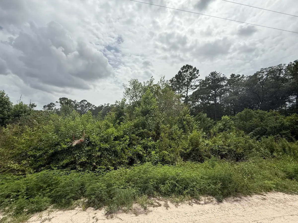 129 Fishermans Drive, Interlachen Florahome, FL 32148 - #1