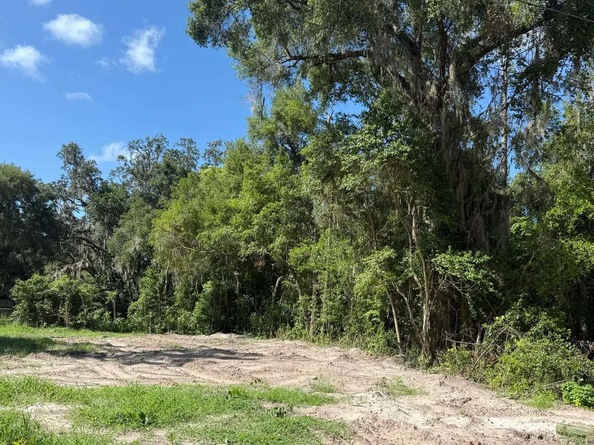 115 Roddy Lane, Palatka, FL 32177 - #1