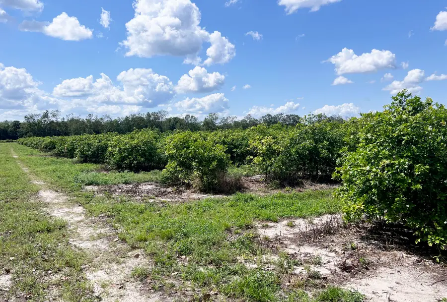 Tbd Orange Avenue Extension, Fort Pierce, FL 34945 - #3