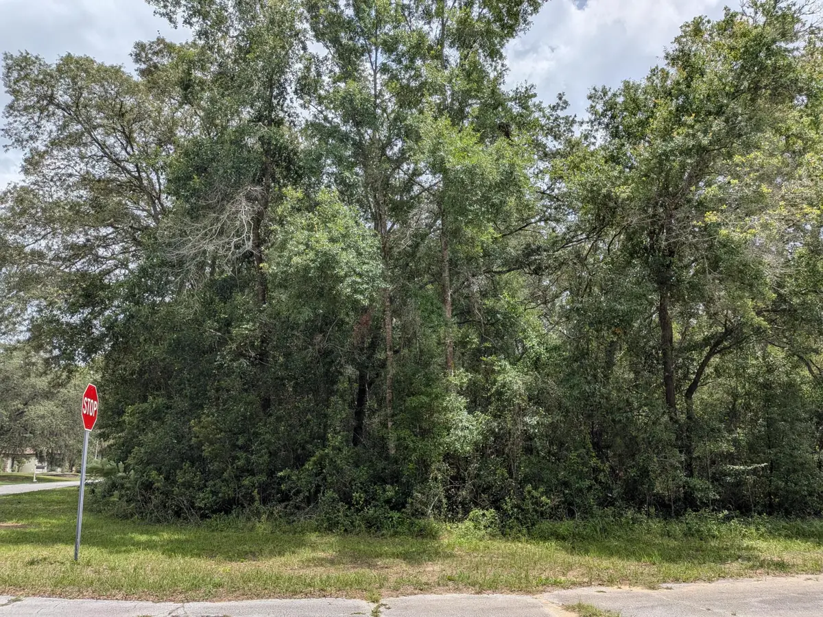 8989 N Conch Terrace, Citrus Springs, FL 34434 - #1