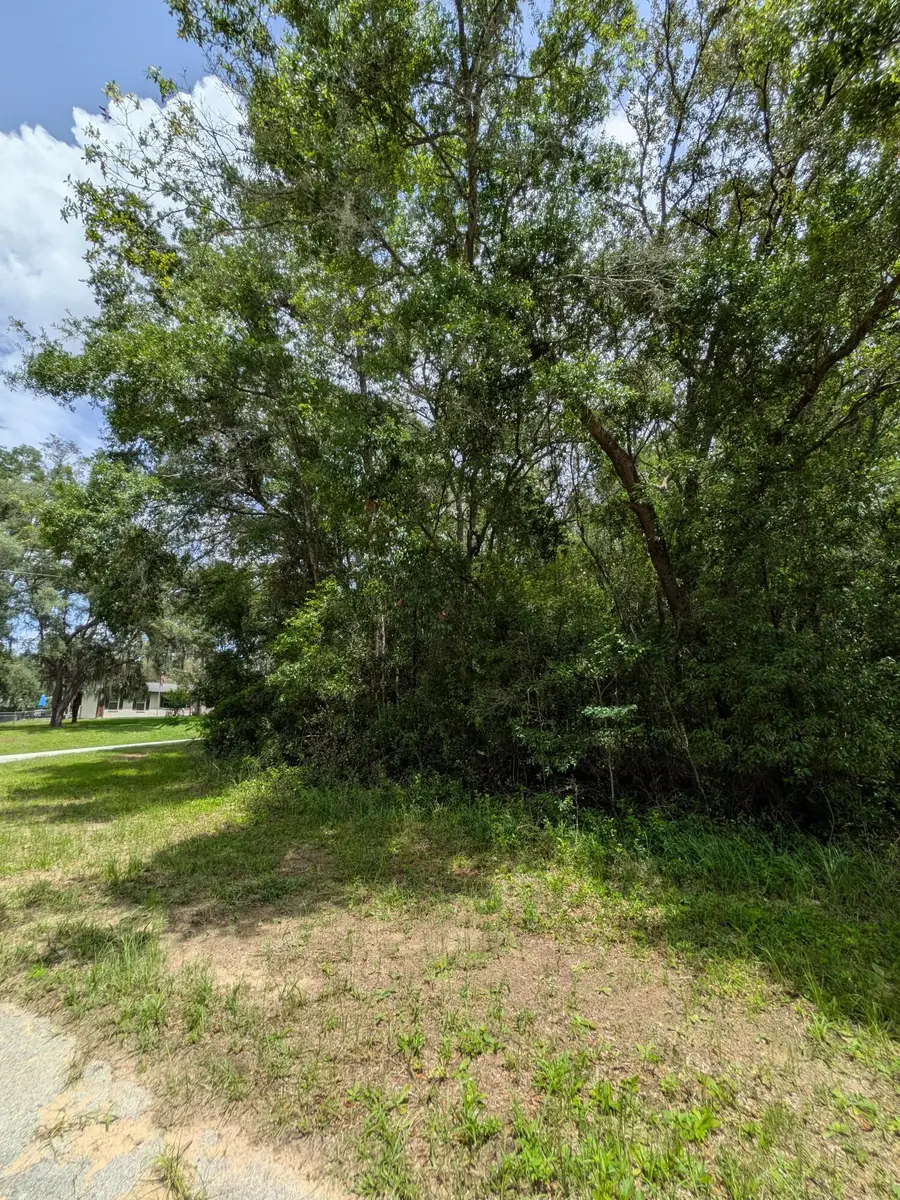 8989 N Conch Terrace, Citrus Springs, FL 34434 - #2