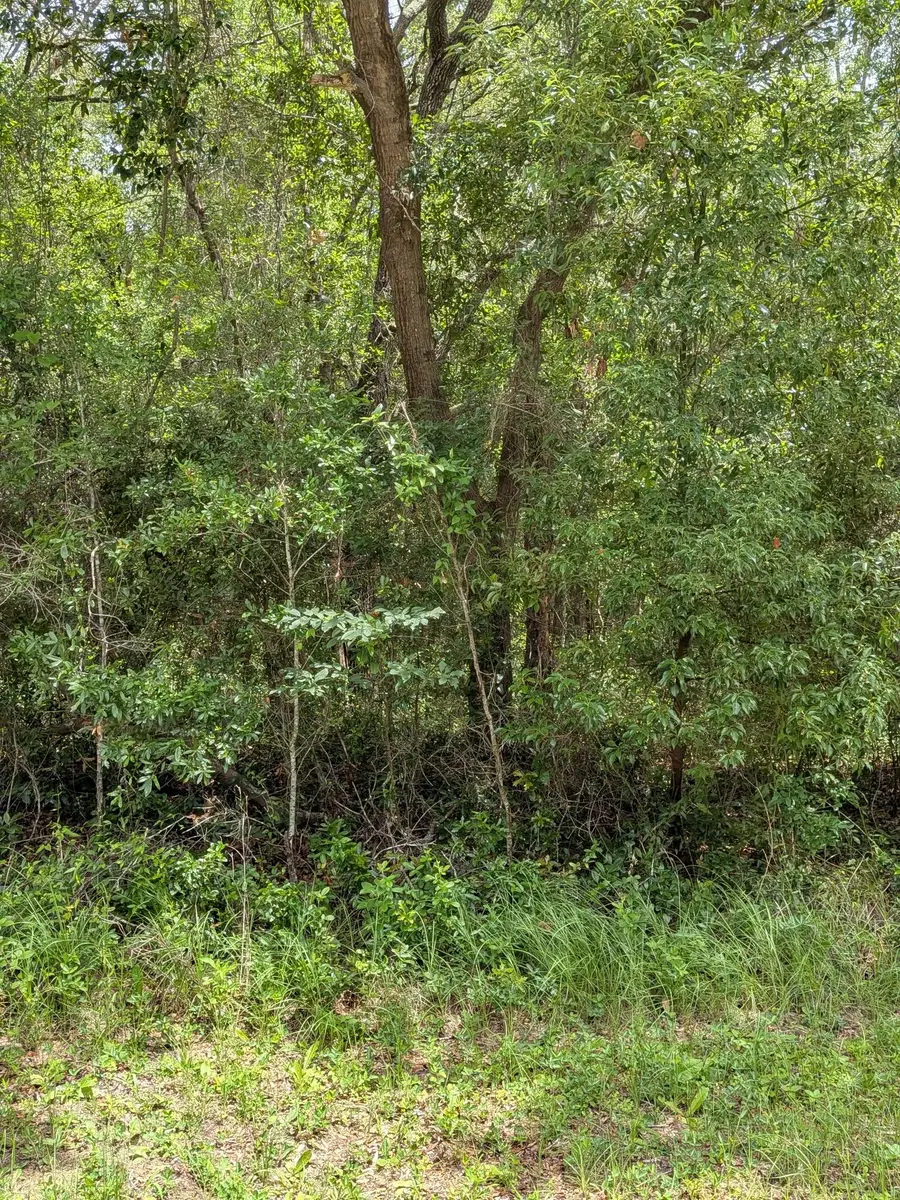 8989 N Conch Terrace, Citrus Springs, FL 34434 - #3