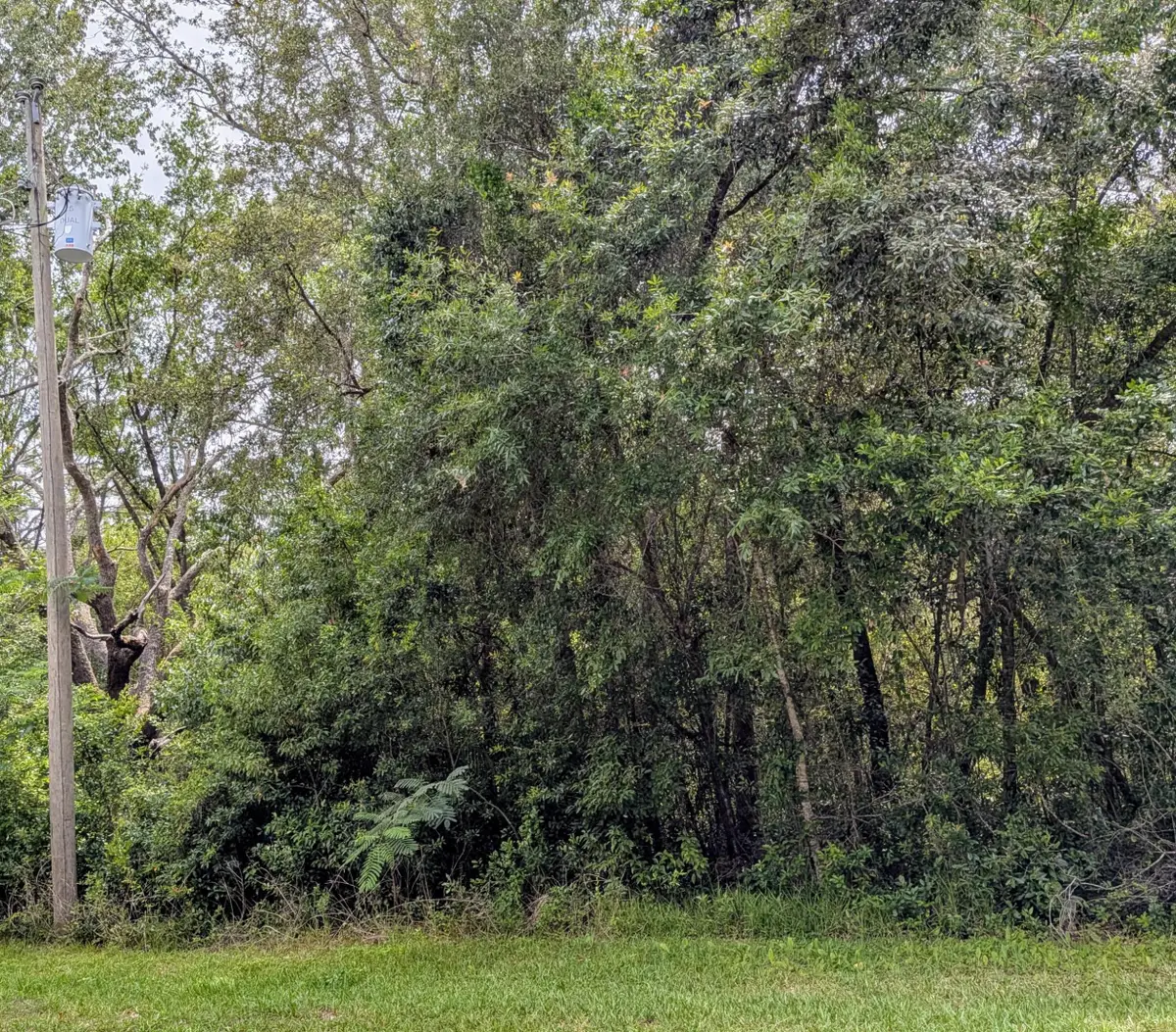 8970 N Joann Drive, Citrus Springs, FL 34434 - #1