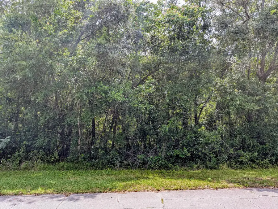 8970 N Joann Drive, Citrus Springs, FL 34434 - #2