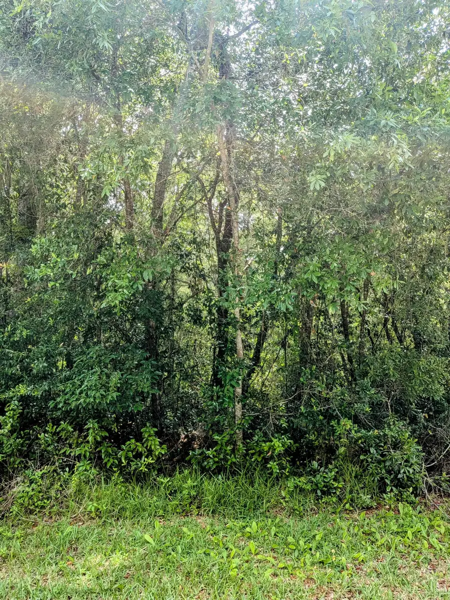 8970 N Joann Drive, Citrus Springs, FL 34434 - #3