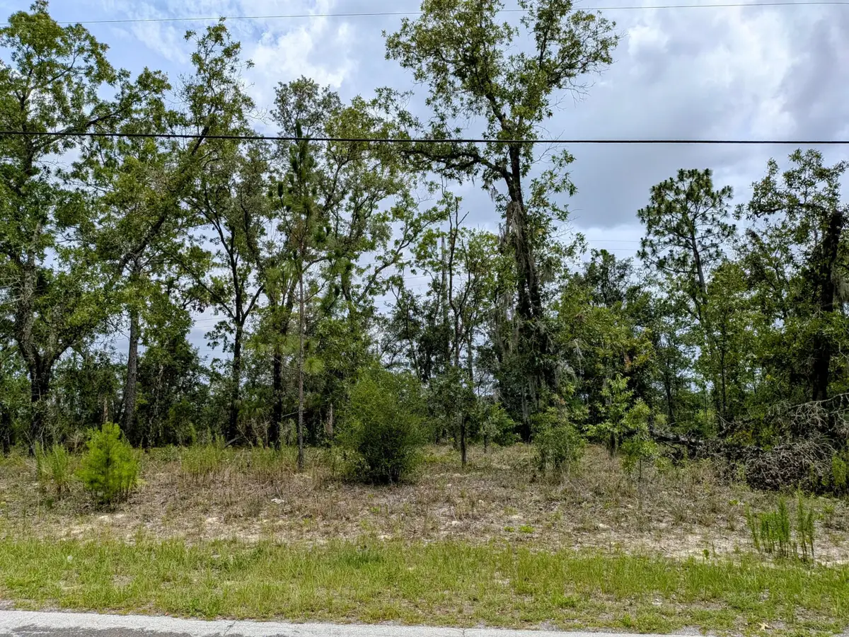 2450 W Rutland Drive, Citrus Springs, FL 34434 - #1