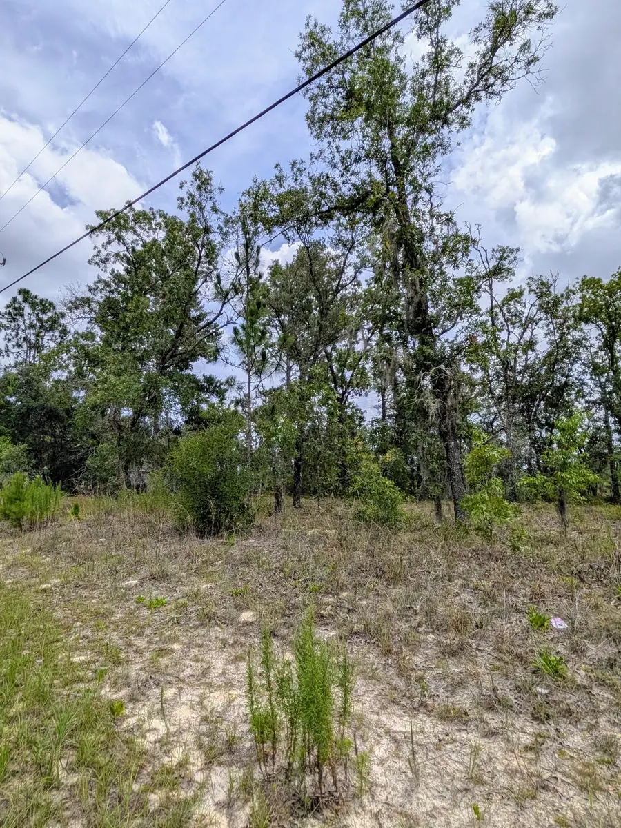 2450 W Rutland Drive, Citrus Springs, FL 34434 - #3